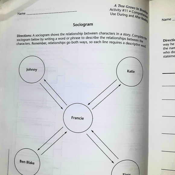 A Tree Grows in Brooklyn Happy homeschooler set - Picture 6 of 7
